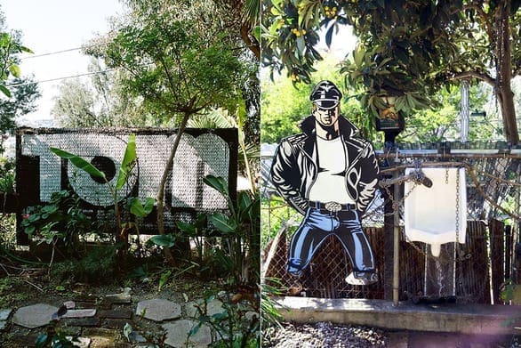 Two photos of TOM House gardens