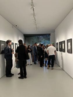 IMG 0709