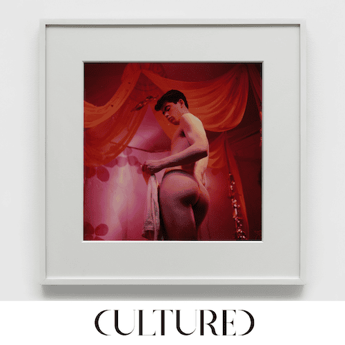 5 culture 500